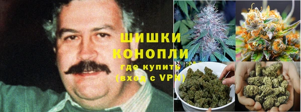 дмт Балабаново